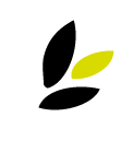 particolare foglie del logo di barbazza bonsai