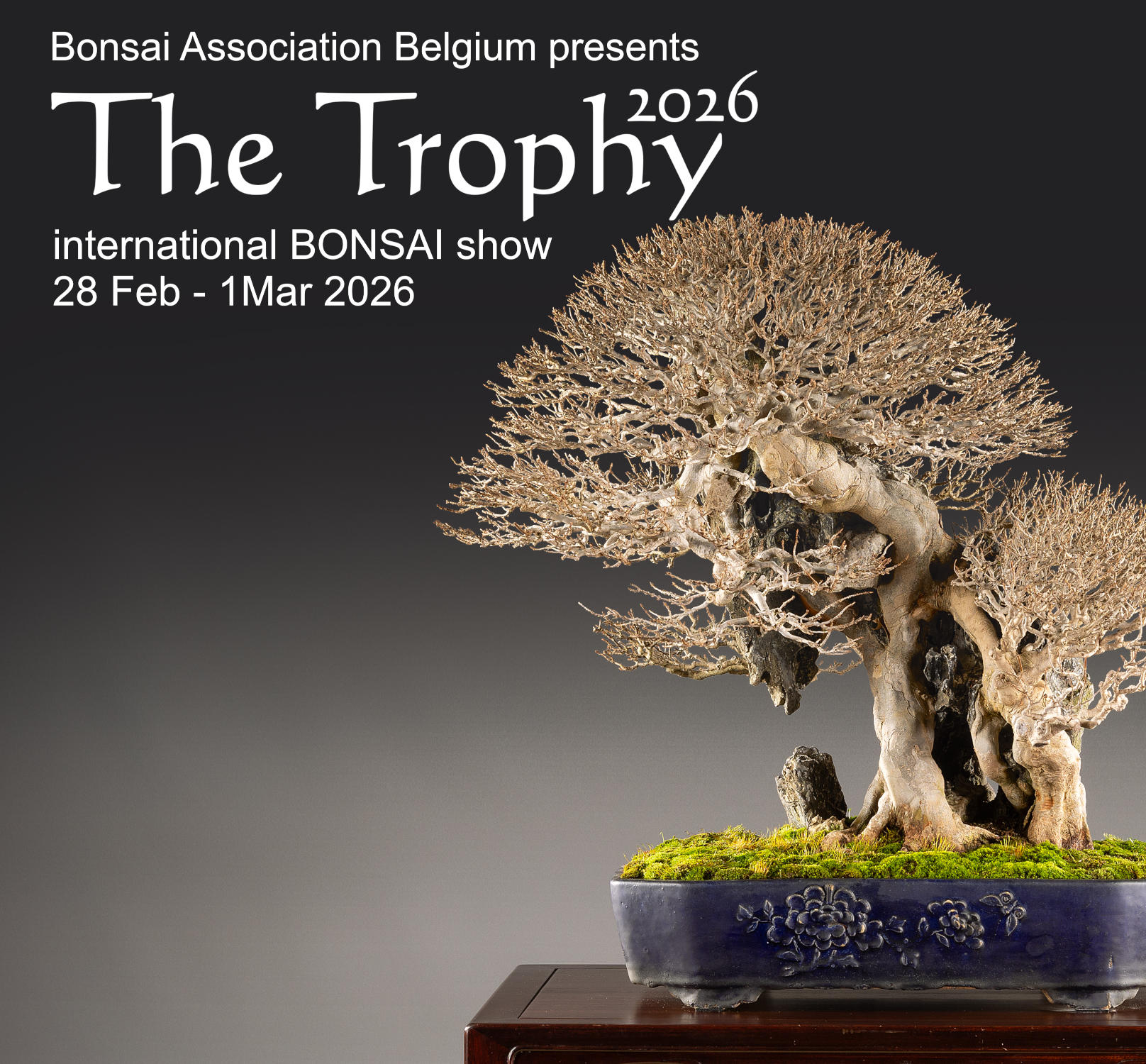 The Trophy Bonsai show