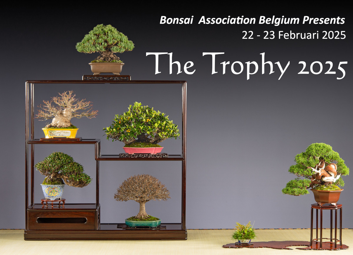 The Trophy 2025